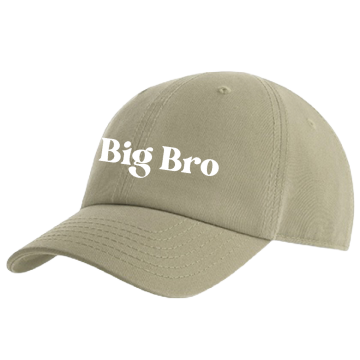 Grote broer zwangerschap bekendmaking pet big bro