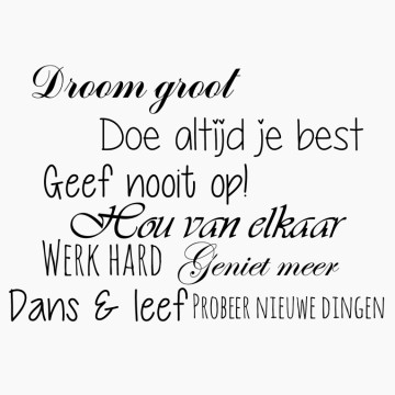 Slaapkamersticker Droom groot geef nooit op!